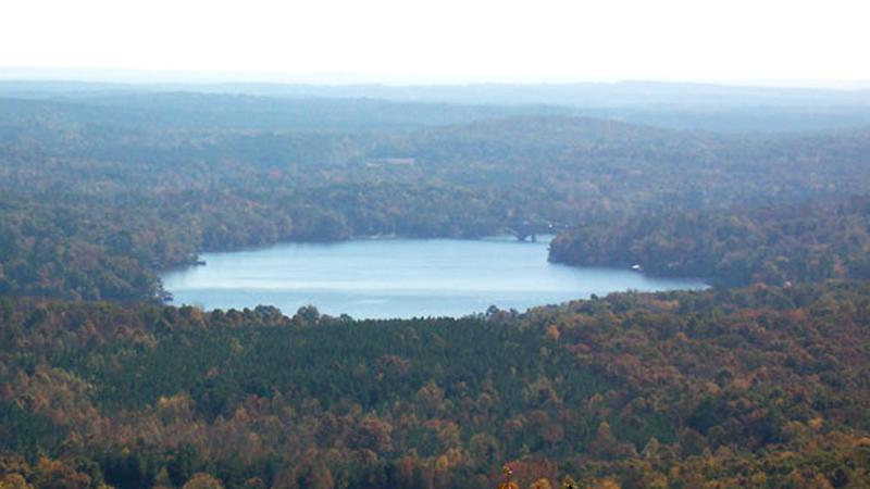 Fisherman Reels In Monster Catfish ‘As Big As Him,’ Takes Trophy Photo Before Releasing