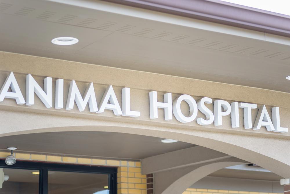 Illustration - Shutterstock | <a href="https://www.shutterstock.com/image-photo/exterior-closeup-animal-hospital-lettering-sign-783475609?src=pSWfopbSxPYZ78qoJYp0ig-1-24">David Prahl</a>