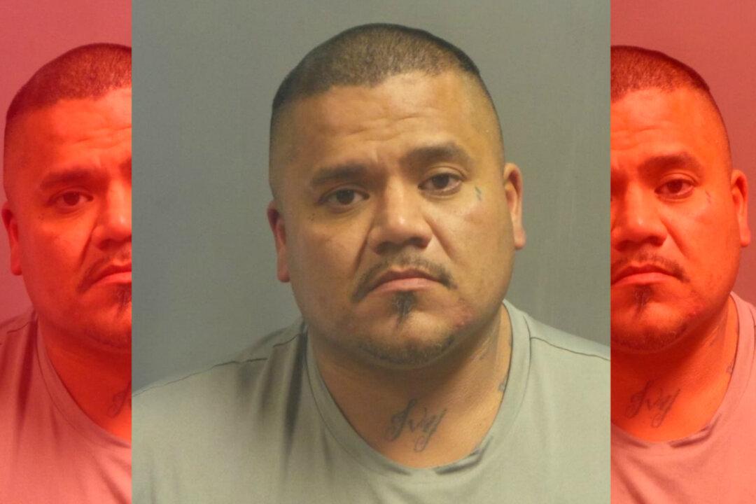 Man Charged After Duct-Taped Dog Found in Freezing Ditch in Missouri