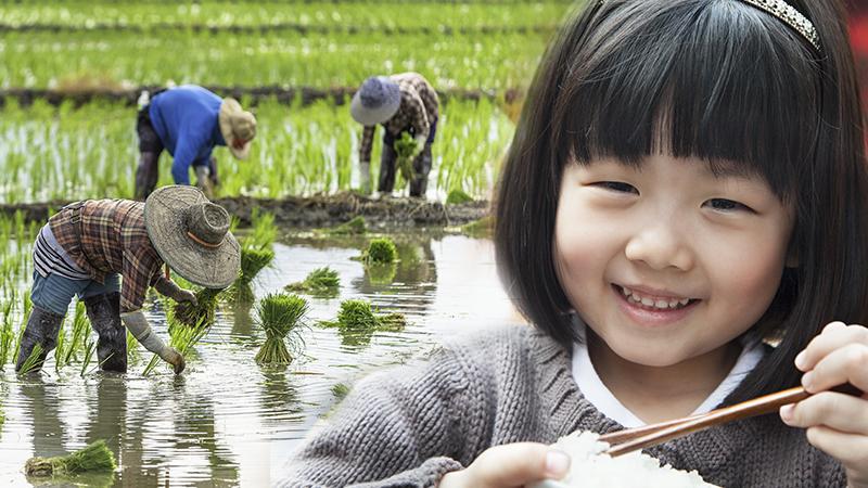 Talking' Rice Grain Uses Its Tough Life to Convince Little Girl Not to Waste Food