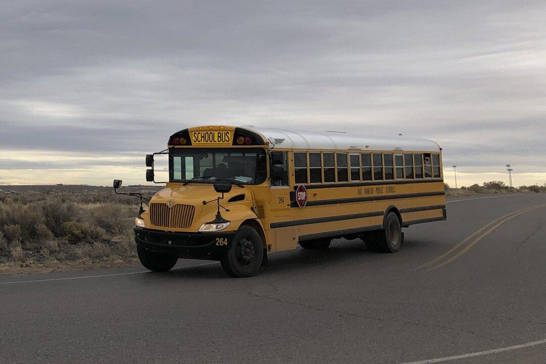 Volleyball Team Bus Plunges Down Embankment; 14 Hurt