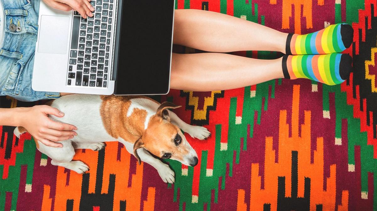 How Adding Color to My House Increased My Joy