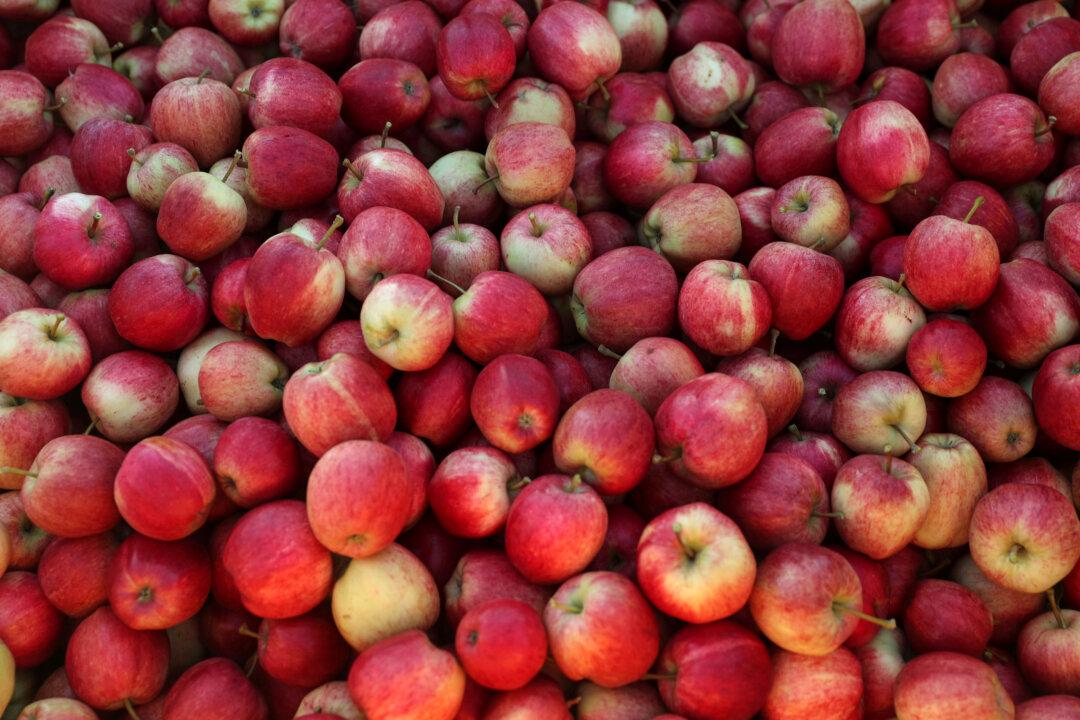 Eat the Seeds: Why the Germs Found Inside Apples May Be Good for You