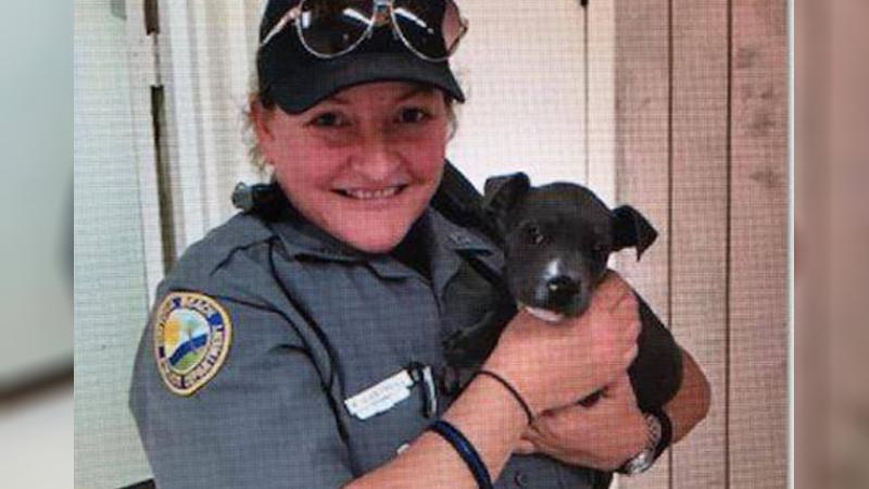 Tiny Puppy Rescued from a Freezing-Cold River Promptly Adopted by Police Officer
