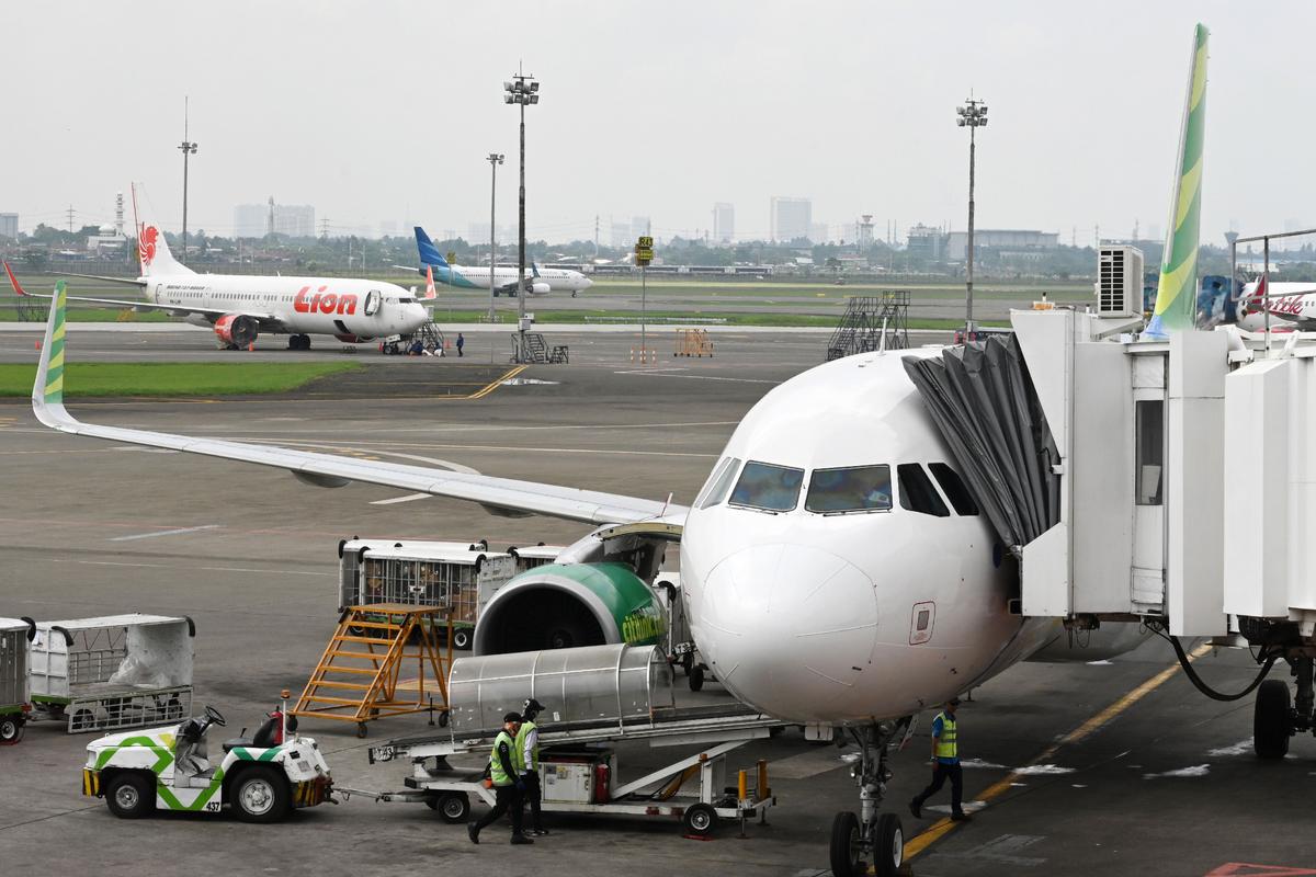 Scorpion Dangles From Overhead Bin on Valentines Day Flight