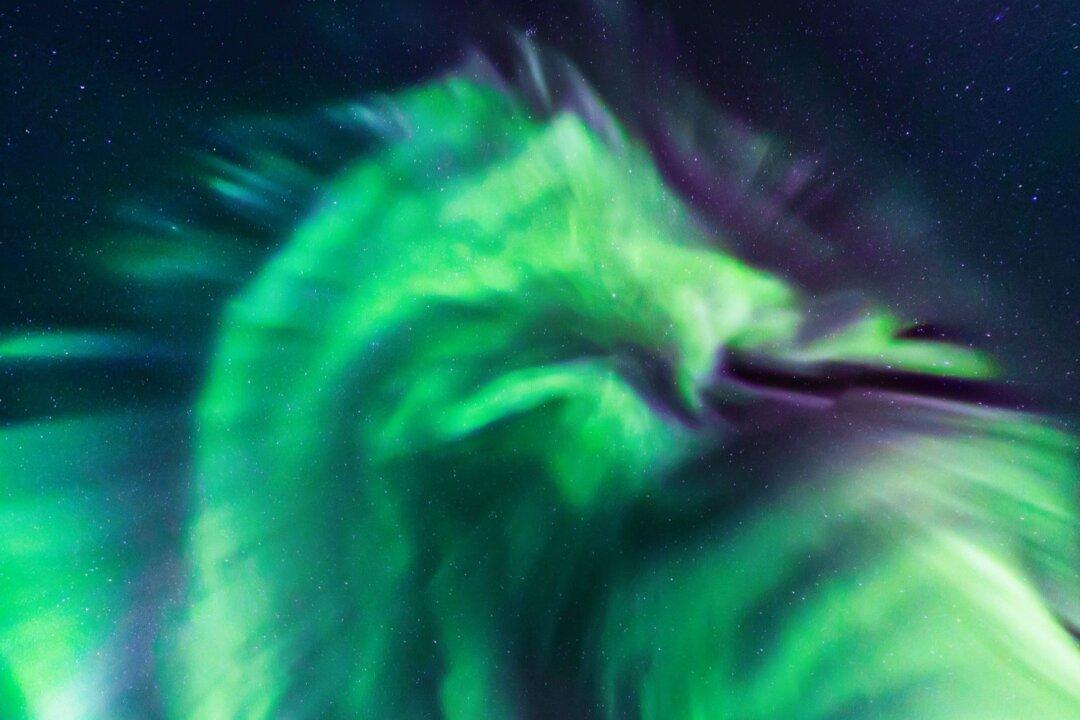 NASA Shares Photo of Unusual ‘Dragon’ Aurora in the Sky