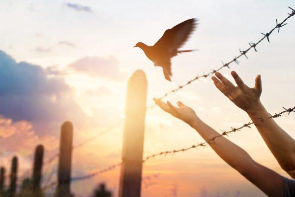 Illustration - Shutterstock | <a href="https://www.shutterstock.com/image-photo/womans-hands-free-bird-above-wire-626337038?src=Yt07992XSYPkSWbZyM9hmg-1-44">PopTika</a>