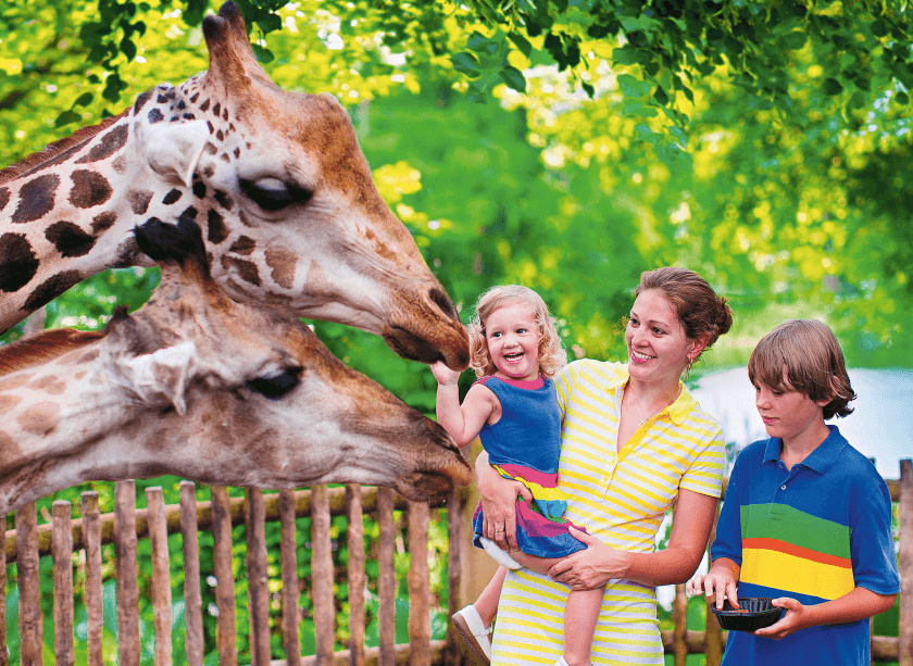 Family Tips: Taking Your Crew to the Zoo