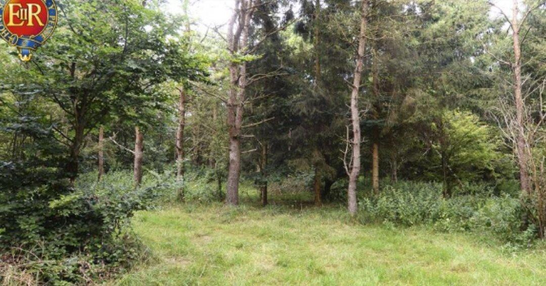 UK Military Posts Photos of Camouflaged Snipers, Confusing Many