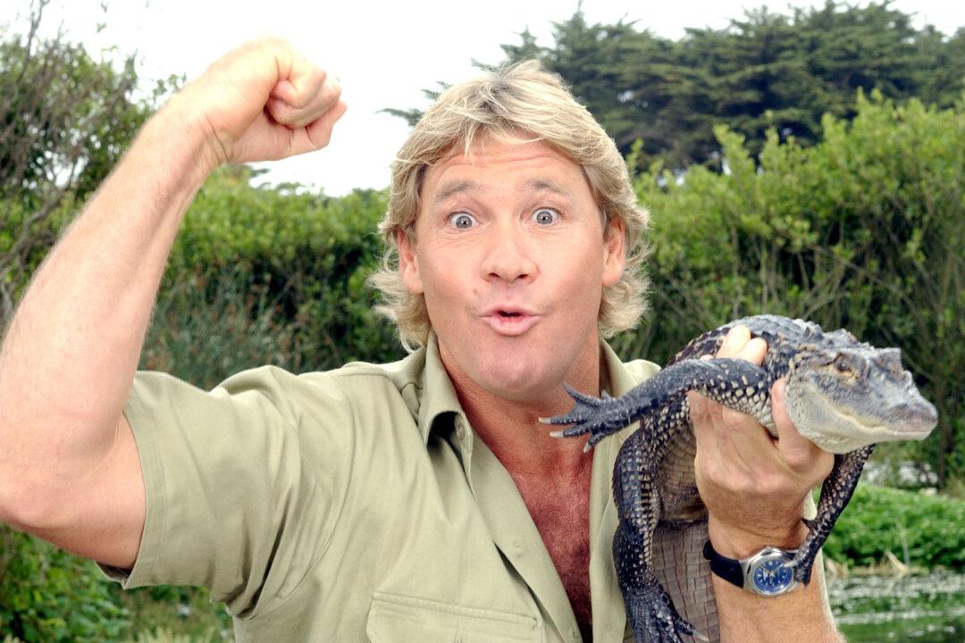 Animal Rights Group Slammed for Accusing Steve Irwin of ‘Harassing’ Stingray That Killed Him