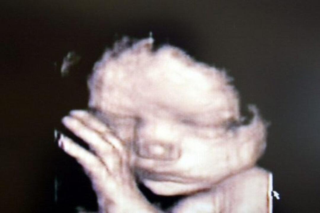 Federal Judge Blocks Kentucky Law That Banned Abortion on Basis of Sex, Race, Disability