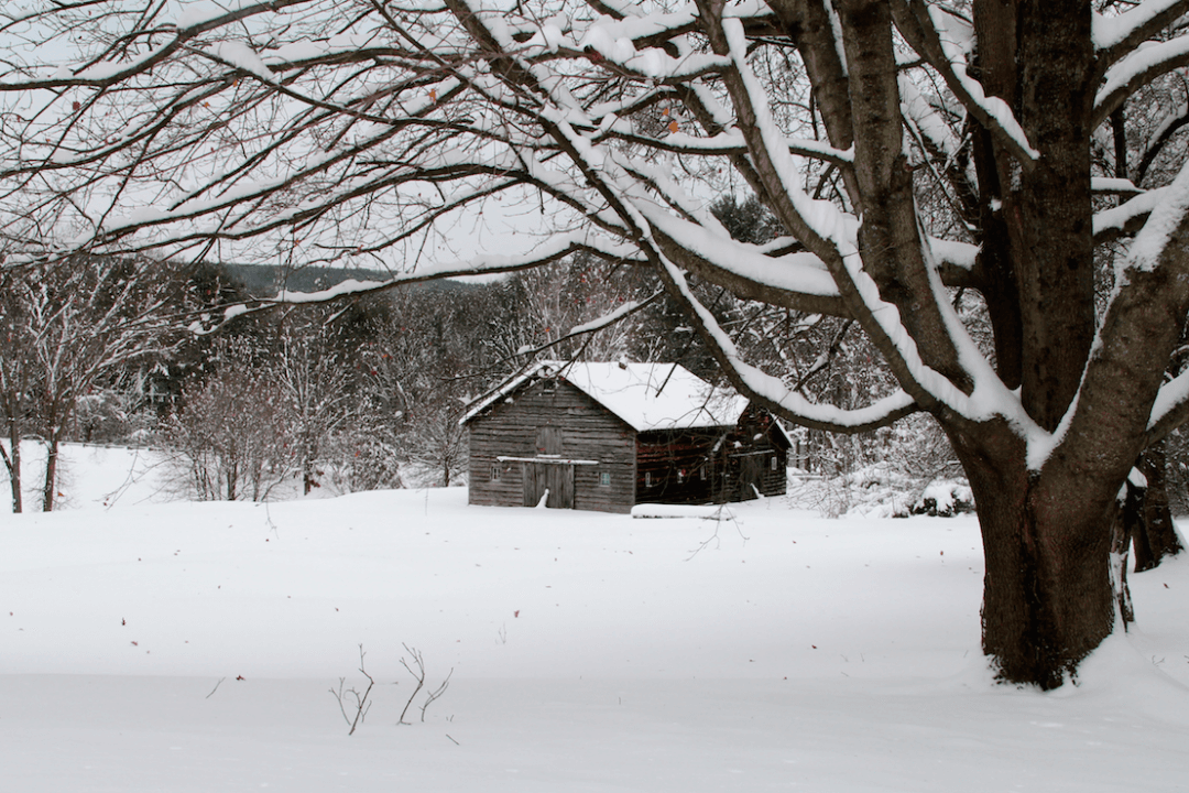 A Berkshire Journal: February Calls for Patience—Lots of It