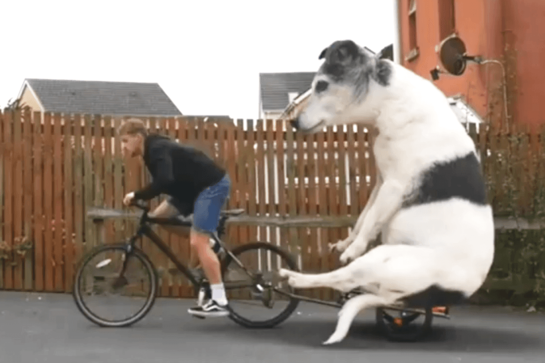 Crazy and hilarious illusions