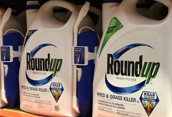 Bayer's Roundup is shown for sale in Encinitas, Calif., June 26, 2017. (Mike Blake/Reuters).