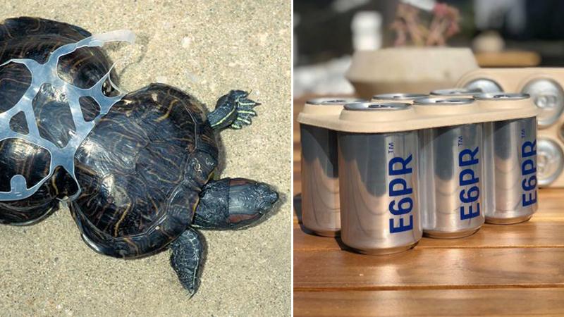 Eco-Conscious Brewery Makes Edible Six-Pack Ring That Feeds Marine Life Instead of Killing It
