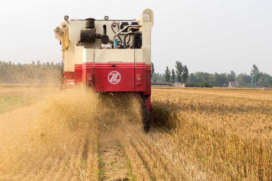 US Wins WTO Ruling on Chinese Grains