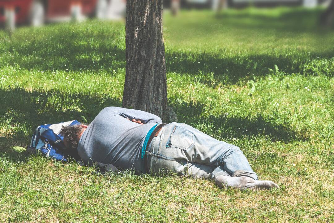 Kind Lady Reads a Homeless Man’s Sign and Helps to Get His Pet From the Pound