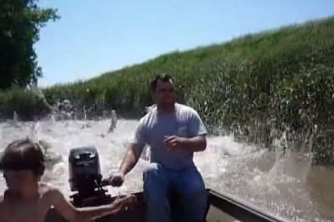 Video Shows Asian Carp ‘Attack’