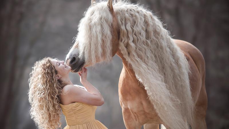Mare Nicknamed ‘Rapunzel’ Has Won Netizens’ Hearts with Her Long and Wavy Mane