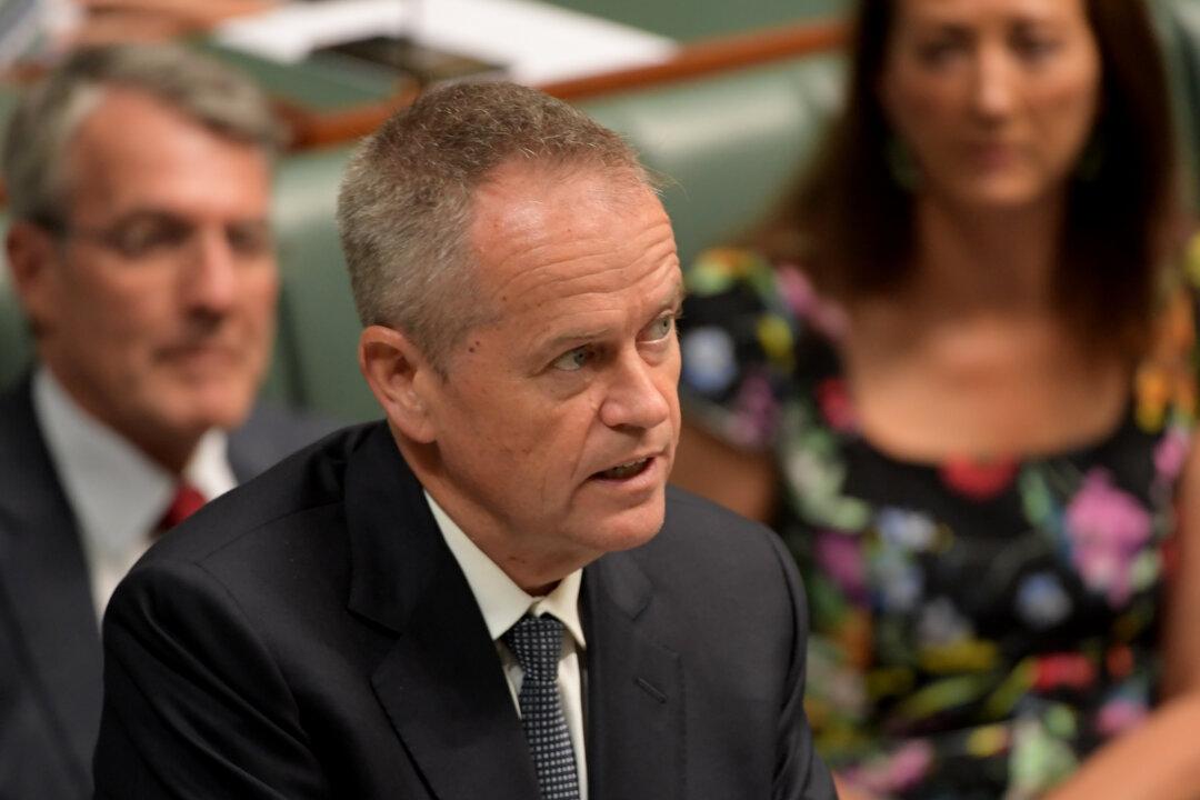 Shorten Calls on PM to Address Child Accessible Pornography, Following ‘Evil’ Social Media Statement
