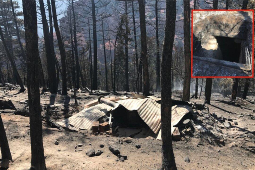 2 Miles of Doomsday Bunkers With Grenades, Guns, and Food Uncovered After Fire