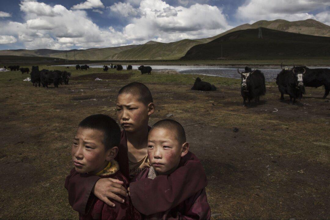 Tibetan Government in Exile Says Chinese Communist Party’s ‘Draconian’ Zero-COVID Measures Endangering Lives