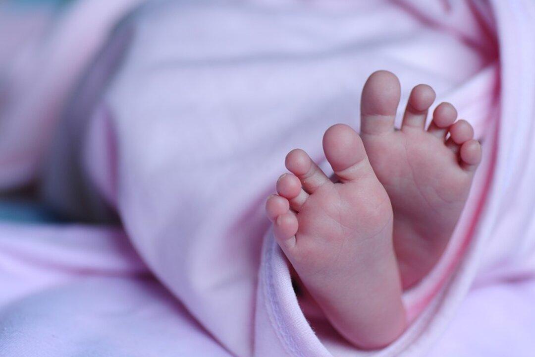Democrats Want $100 Million to Distribute Free Diapers to Low-Income Families