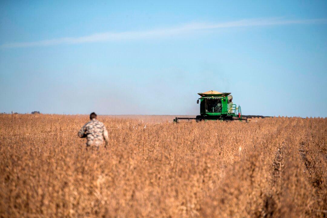 South Africa Resistance Mounts Against Land Expropriation as Election Day Looms