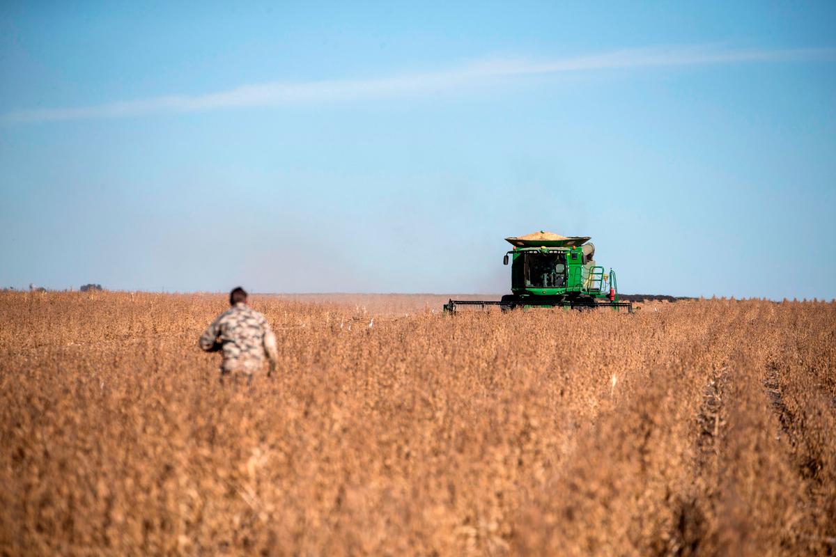 South Africa Resistance Mounts Against Land Expropriation as Election Day Looms