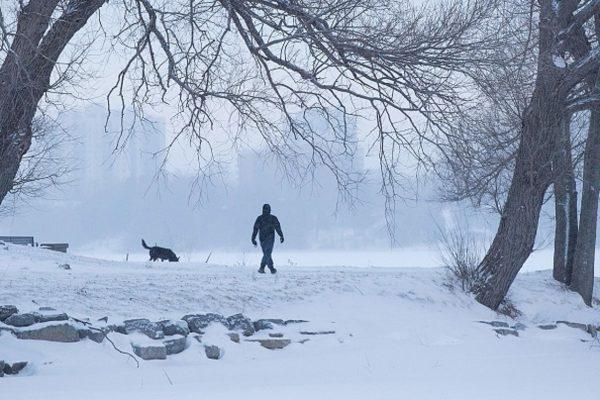 A man walks a dog in a snow-covered park in Kingston, Ontario, on Jan. 30, 2019. (Lars Hagberg/AFP/Getty Images)