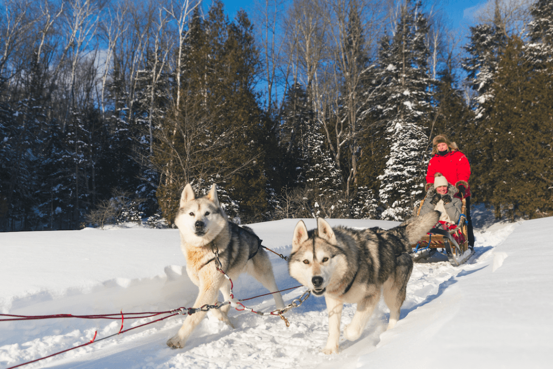 These US National Park Experiences Are Magical for Winter Visitors