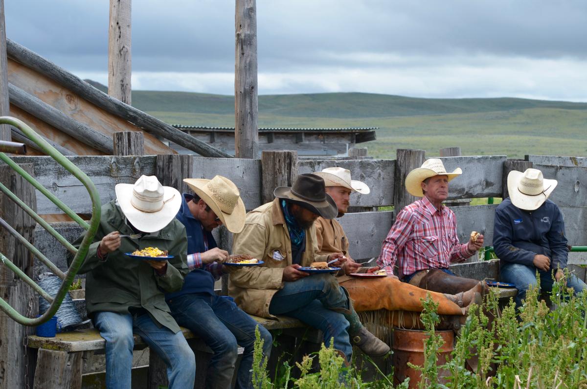Cowboy Cooking: Breakfast at a Cow Camp