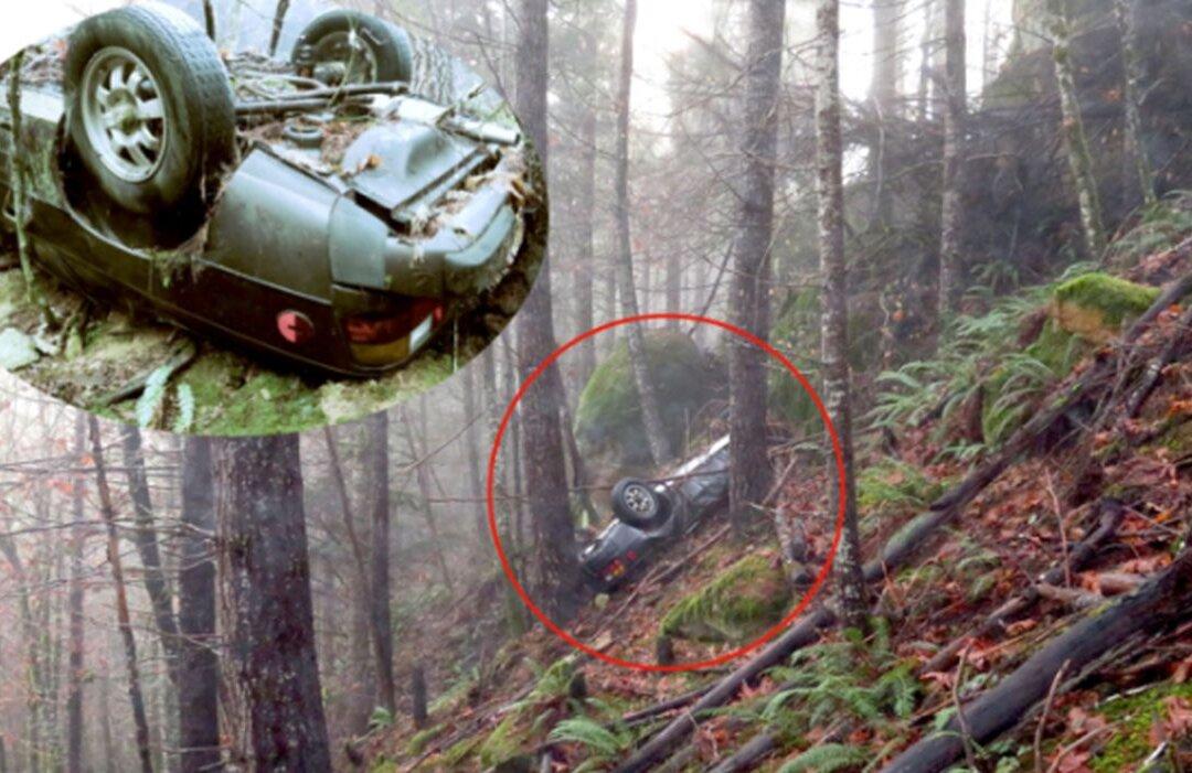 Porsche Stolen 27 Years Ago Discovered in Oregon Woods