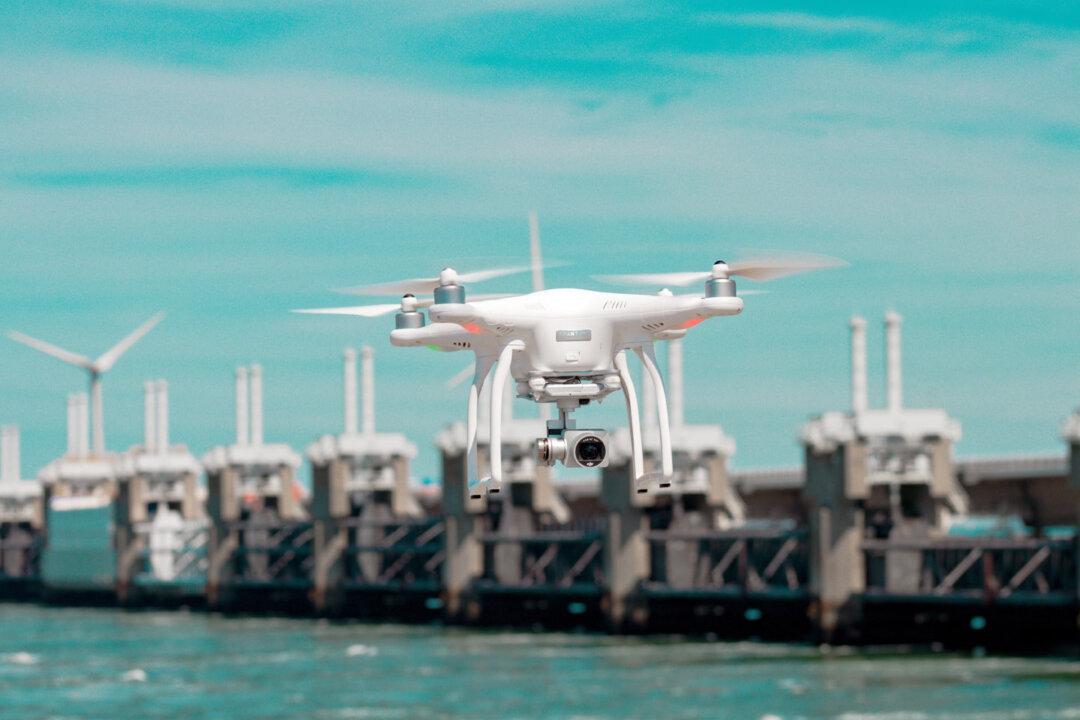 Will We Survive the Devastating Information and Technology Revolution?
