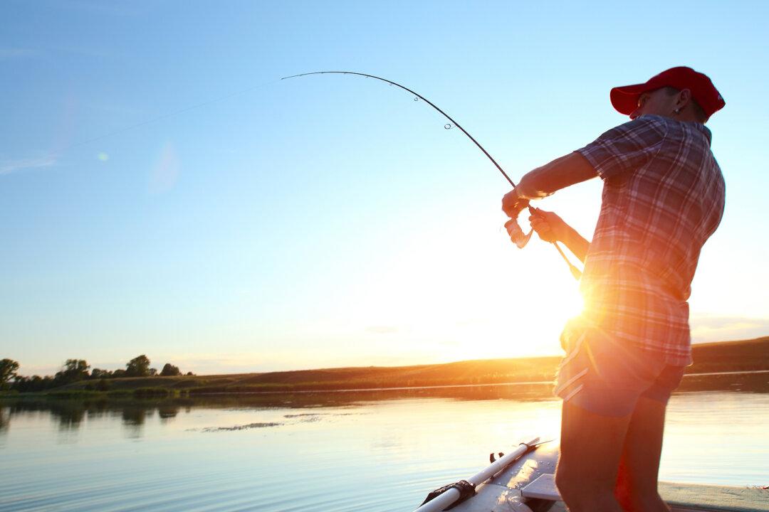 Australian Fishermen Reel In ALIEN-Like Fish, and They Have No Idea What It Is