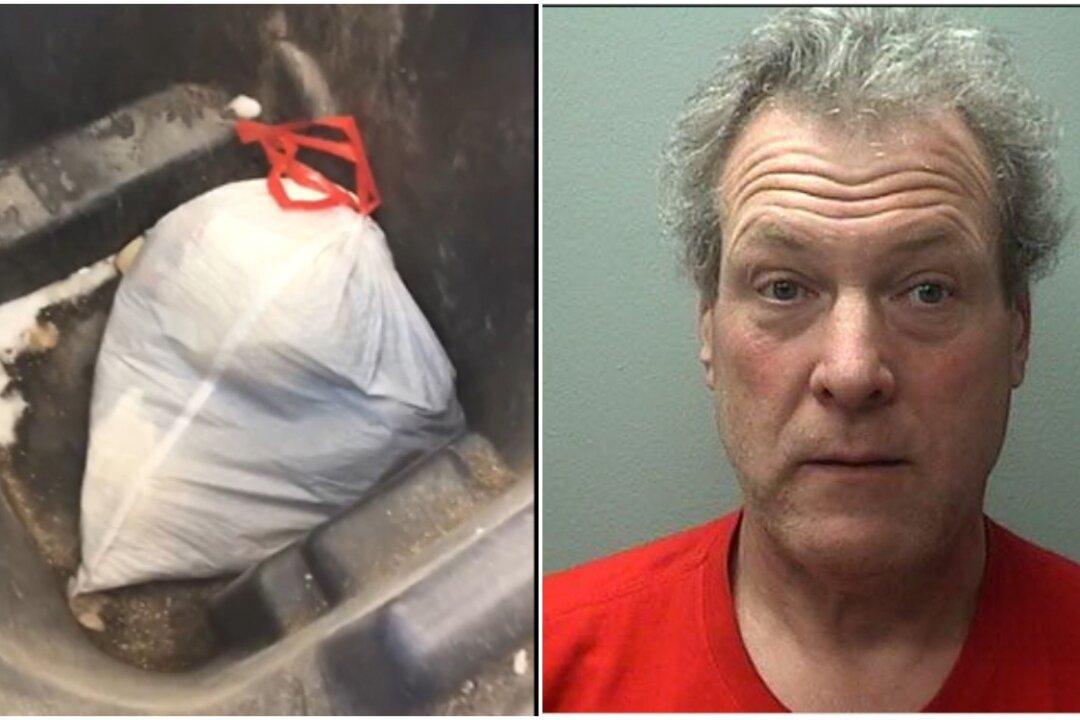 Wisconsin Man Arrested After Police Find Bag of Puppies in Trash