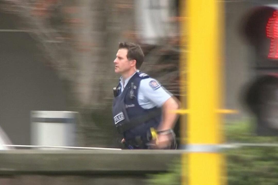 Armed Bystander Chased and Fired At Christchurch Mosque Shooter