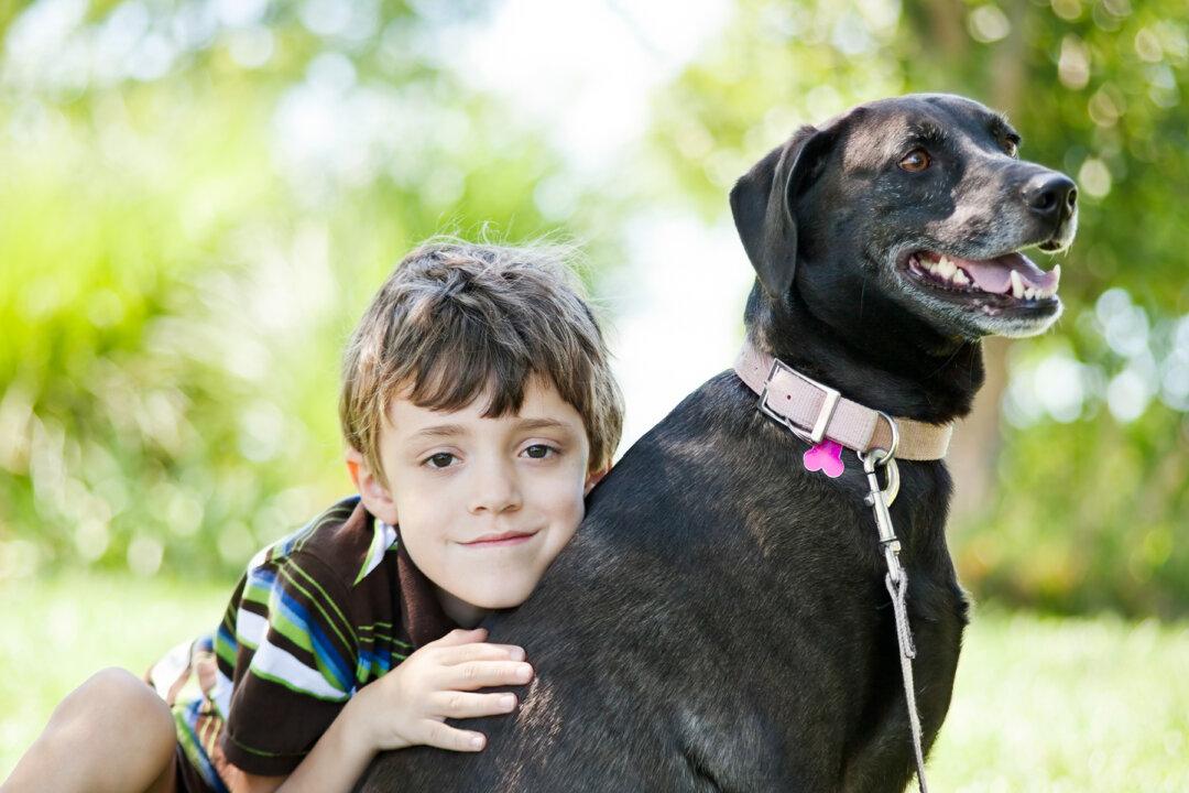 7-Year-Old Diabetic Boy’s Sugar Dropped Dangerously Low, but Loyal Service Dog Saved His Life