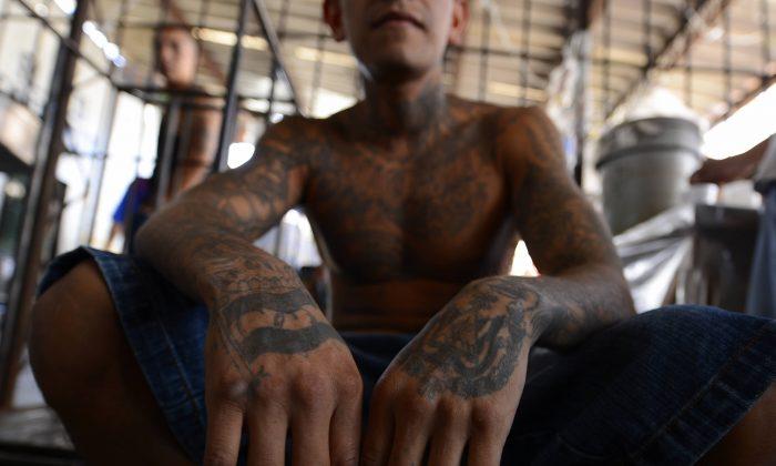 MS-13 Believed to Be Behind Body Found in Washington