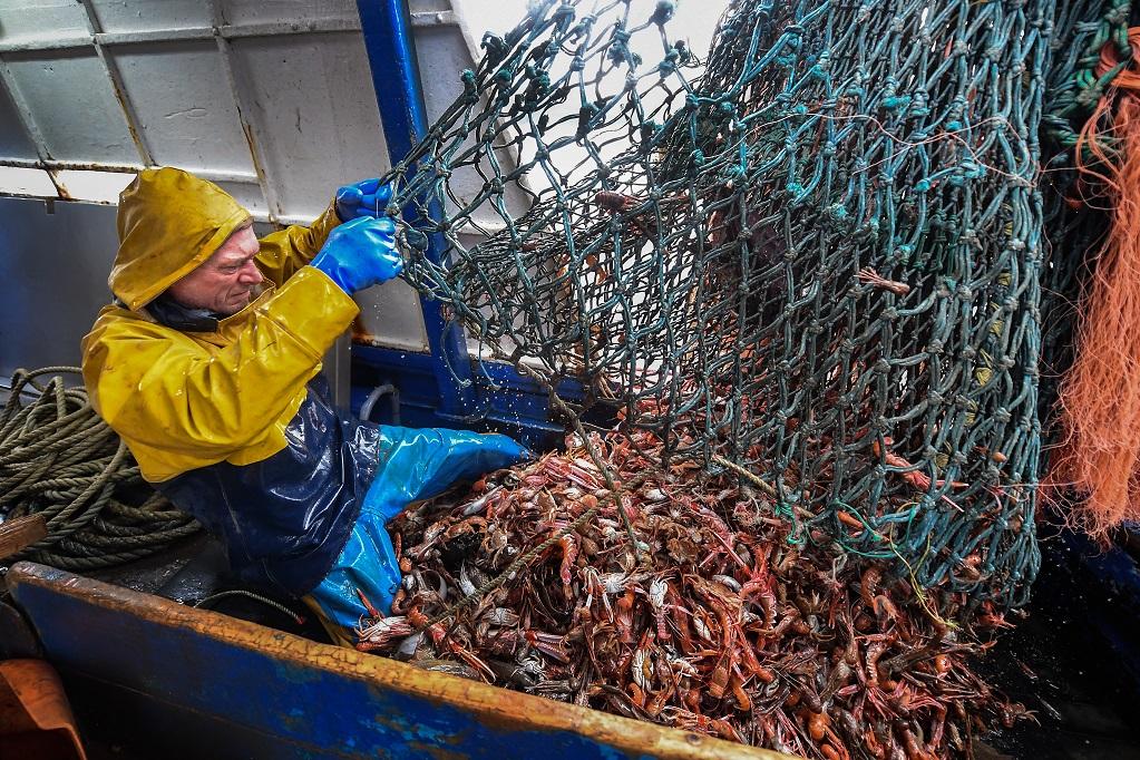 No, Climate Change Is Not Reducing Global Fish Catch