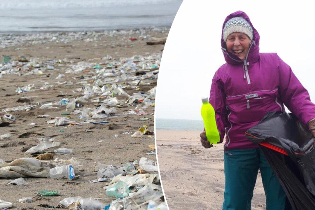 70-Year-Old ‘Action Nan’ Cleans 52 Beaches and Starts Radical Anti-Plastic Campaign