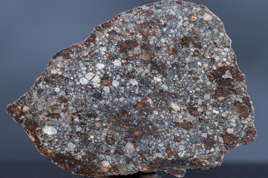 Farmer Discovers He’s Using a Meteorite As a Doorstop for Years, Worth $100,000