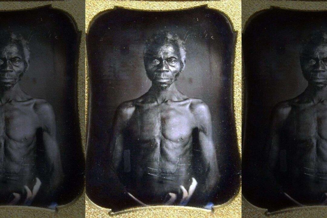 Harvard Sued for ‘Shamelessly' Exploiting Early Photos of Slaves