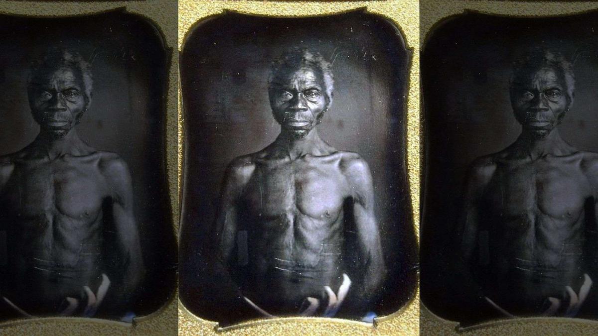 Harvard Sued for ‘Shamelessly' Exploiting Early Photos of Slaves