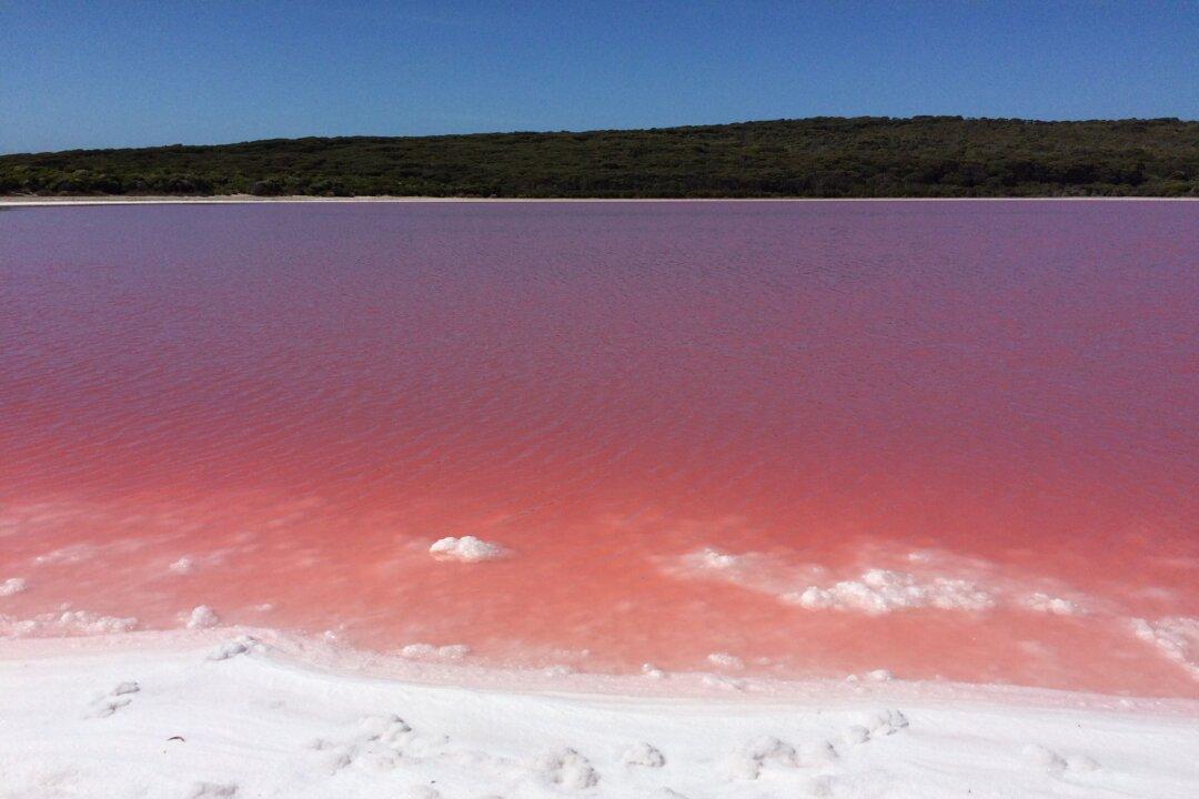Uncovering the Mystery of Australia’s Famous Strawberry-Colored Lake Hillier