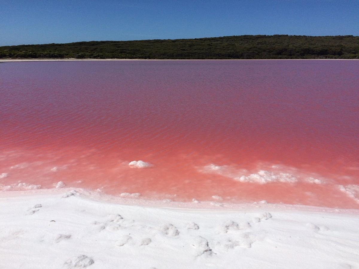 Uncovering the Mystery of Australia’s Famous Strawberry-Colored Lake Hillier