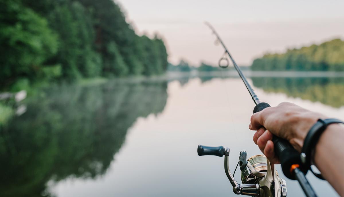 Fisherman’s Record-Breaking Catch Is Denied by State: It Was ‘Foul-Hooked’