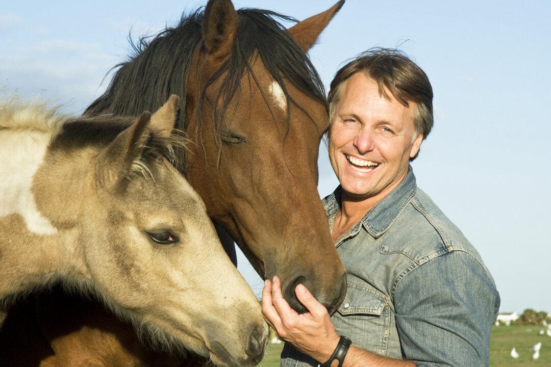 Wild, Wild West: Government Adoption Incentive Offers $1,000 to Home a Wild Horse