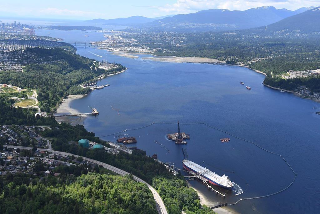 BC Legislation Only Applies to Trans Mountain, Pipeline Proponent Argues