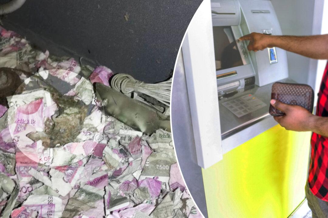 Rat Breaks Into Indian ATM and Dies After Consuming $18,000 Worth of Bank Notes